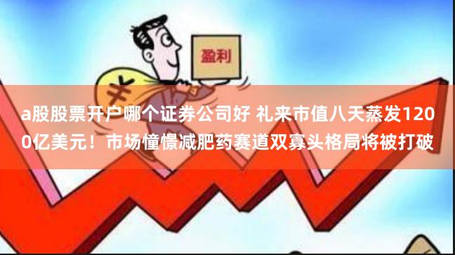 a股股票开户哪个证券公司好 礼来市值八天蒸发1200亿美元！市场憧憬减肥药赛道双寡头格局将被打破