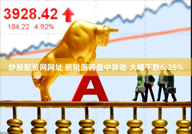 炒股配资网网址 新锐医药盘中异动 大幅下跌6.25%