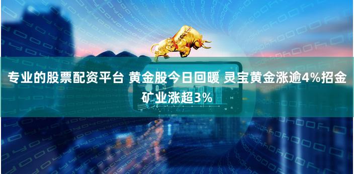 专业的股票配资平台 黄金股今日回暖 灵宝黄金涨逾4%招金矿业涨超3%