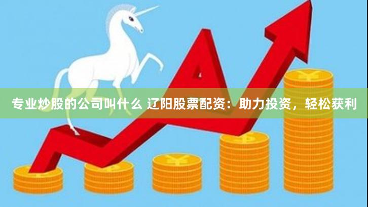 专业炒股的公司叫什么 辽阳股票配资：助力投资，轻松获利